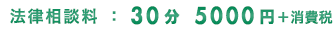 法律相談料:30分5250円